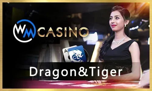 Sports betting interface with live match